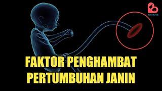 Faktor yang Membuat Pertumbuhan Janin Terhambat