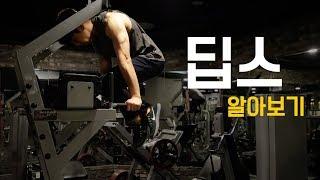 INTERMEDIATE 딥스 Dips 정확한 자세 주의사항 알아보기