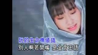 卓依婷 - 金包银 男声卡拉版