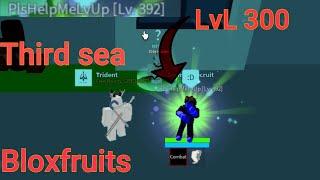 300Lvl in 3rd sea