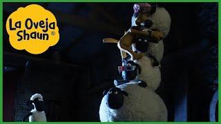 La Oveja Shaun  pila de ovejas  Dibujos animados para niños