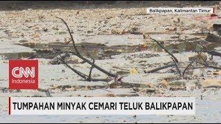 Tumpahan Minyak Cemari Teluk Balikpapan