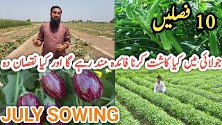 what to plant or sow in July Best Vegetables to plantgrow in July Profitable farming IR FARM