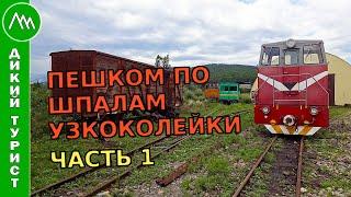 Ушёл ПО ШПАЛАМ узкоколейки в Богом забытое место. Часть 1. Хутор Кушинка гора Оплепен