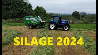 FIRST CUT SILAGE 2024