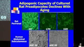 SENS5 - Aging Adipose Tissue and Cellular Senescence