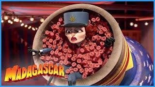 DreamWorks Madagascar   Its That Horrible Woman  Madagascar 3  Europes Most Wanted   Kids Movies
