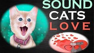 Sounds Cats Love All Time  HQ