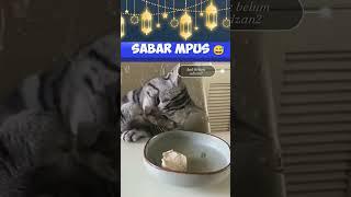 Si Mpus Ngak Sabar #short #ngakak #memeviral