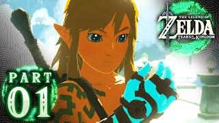The Legend of Zelda Tears of the Kingdom - Part 1 - Great Sky Island