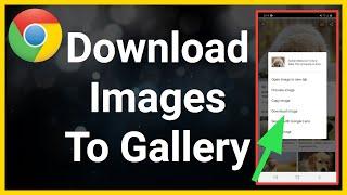 How To Download Images From Google To Your Gallery Android