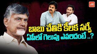 Sensational Survey Report On AP 2024 Elections  Chandrababu  Pawan Kalyan  CM Jagan  YOYO TV