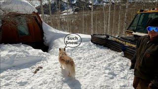 Cabin BURIED. Insane Utah Snow Depth Snowcat Update & Epic Snowmobiling