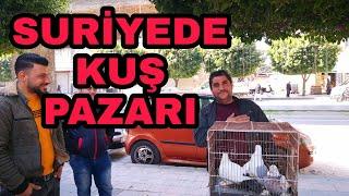 SURİYE KUŞ PAZARI