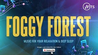 FOGGY FOREST FOR YOUR RELAXATION & DEEP SLEEP