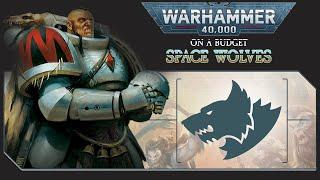 40k on a Budget Space Wolves