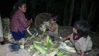 Myvillage official videos EP 1160  Harvesting system of maize in village