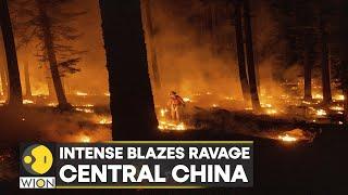 WION Climate Tracker  China Heatwave sparks droughts and fire