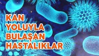 Kan Yoluyla Bulaşan Hastalıklar #virüs #aids #sağlık