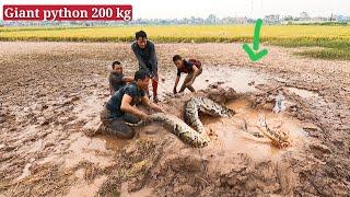 A young man fishing must have a giant snake 200 kg