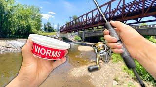 Eating Whatever I Catch.. Creek Fishing w WORMS Catch and Cook