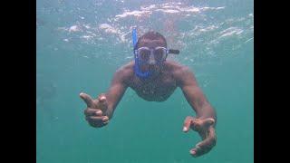 WASINI ISLAND & KISITE MPUNGUTI MARINE PARK  Amazing and extended underwater footage