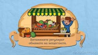 Храна и здравословно хранене -  Човекът и природата 5 клас  academico