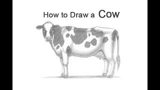 How to Draw a Cow