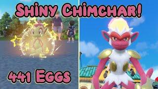 Shiny Chimchar after 441 Eggs MM + Infernape Evolution - Pokemon Scarlet and Violet DLC