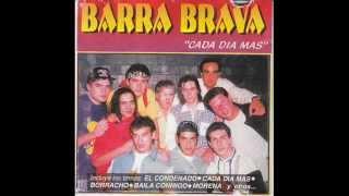 tarde-david ortiz-BARRA BRAVA