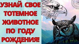 СЛАВЯНСКИЙ ГОРОСКОП ПО ГОДАМ Кто ты по славянскому гороскопу? Тотемное животное по году рождения