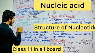 Introduction of Nucleic Acid Nucleotids Class 11#Nitrogenous bases #Nucleic acid#Ribose or pentos