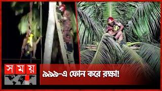 ডাব চুরি করতে গিয়ে গাছেই অজ্ঞান ৬ ঘন্টা পর উদ্ধার  Coconut Thief  Viral News  Faridpur News