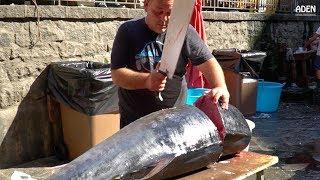 Fish Cutting in Sicily Tuna and Swordfish