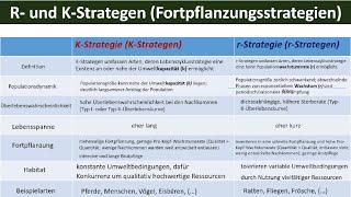 R- und K-Strategen Fortpflanzungsstrategien - Biologie Ökologie Oberstufe