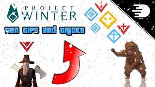 10 Tips and Tricks to become better at project winter