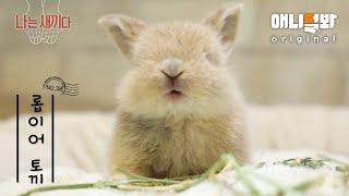 나는 태어난 지 30일 된 롭이어 토끼 새끼다 애니멀봐 나새끼 38호ㅣI’m a 30-Day-Old Baby Lop-Earned Bunny