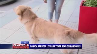 Canadá aprueba ley para tener sexo con animales