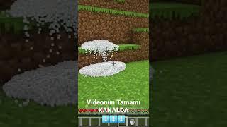 Dünyanın En İyi Gerçekçi Minecraft Modları Realistic Mod @steveee01