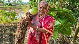 প্রথমবার আমাদের বাড়িতে এত বড় কচু তুলে রান্না হল  Mach Dea Kochu Ranna 