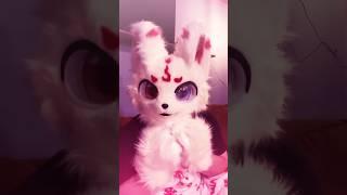 Corrupted Flashbacks  #furry #furries #fursona #fursuit #cosplay  #cute #lore