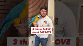 3 Things I LOVE About Parrots #birds