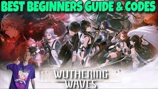 Best Beginners Guide & Codes Wuthering Waves