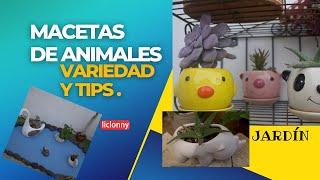 MACETAS DE ANIMALES  Variedad de MODELOS Y TIPS para decorarlas. @liclonny