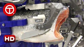 How Salmon Fillet Are Made in Factory  How Its Made ▶01