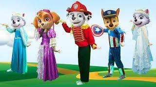 Family Paw Patrol Captain America   Finger family song