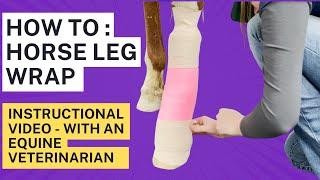 HOW TO - Wrap a horses leg - with Veterinarian Instruction