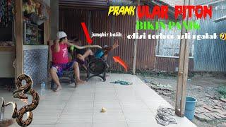 vidio lucu PRANK ULAR PITON Bikin Panik  Edisi Terlucu Asli bikin ngakak Funniest Snake Prank