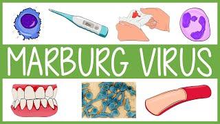 Marburg Virus in 3 Minutes