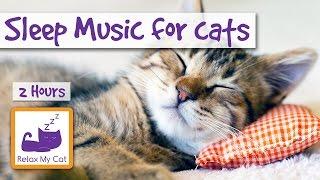 2 HOURS of Sleep Music for Cats. Try it Today and be Surprised